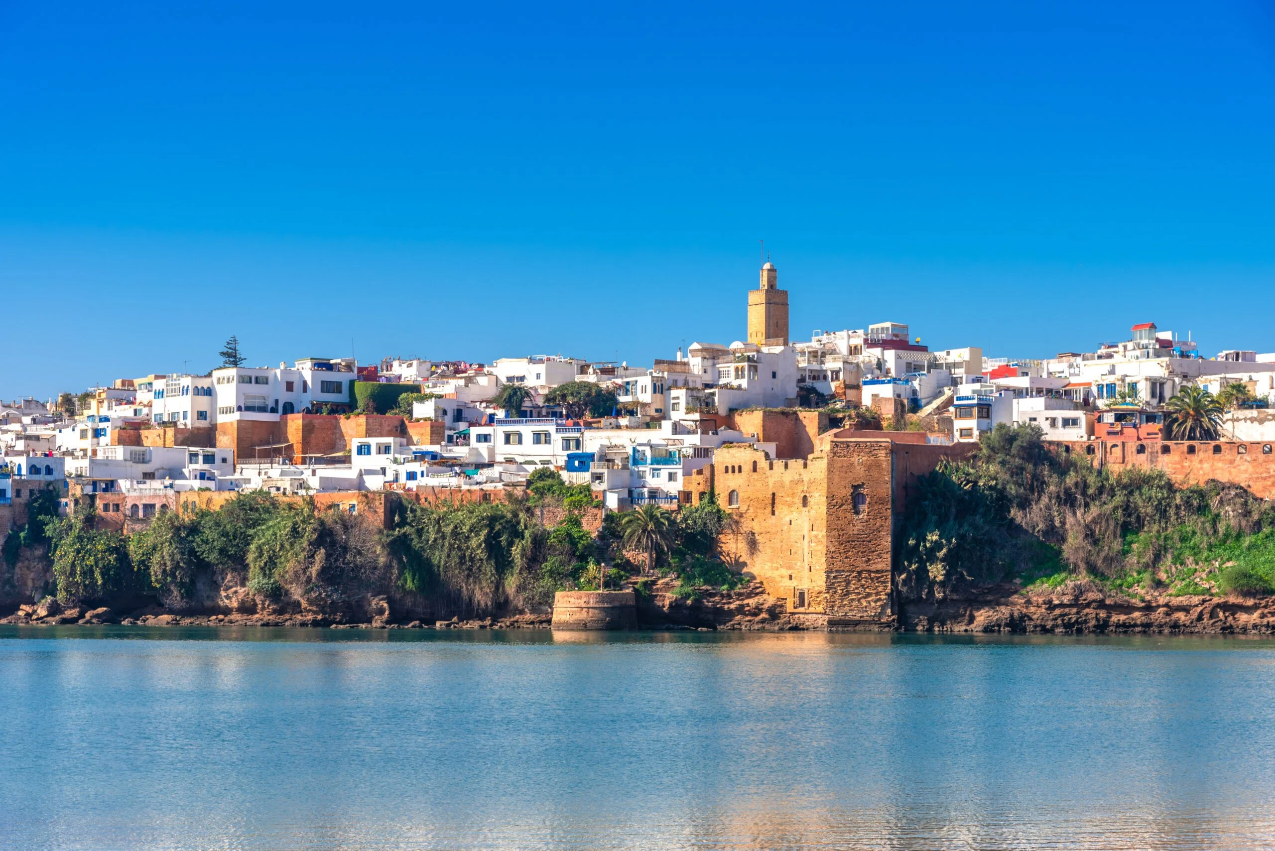 	"ورشات "جنوب - جنوب" في دورتها الثانية تحتضن مشاريع إبداعية رقمية من تونس والمغرب والسنغال