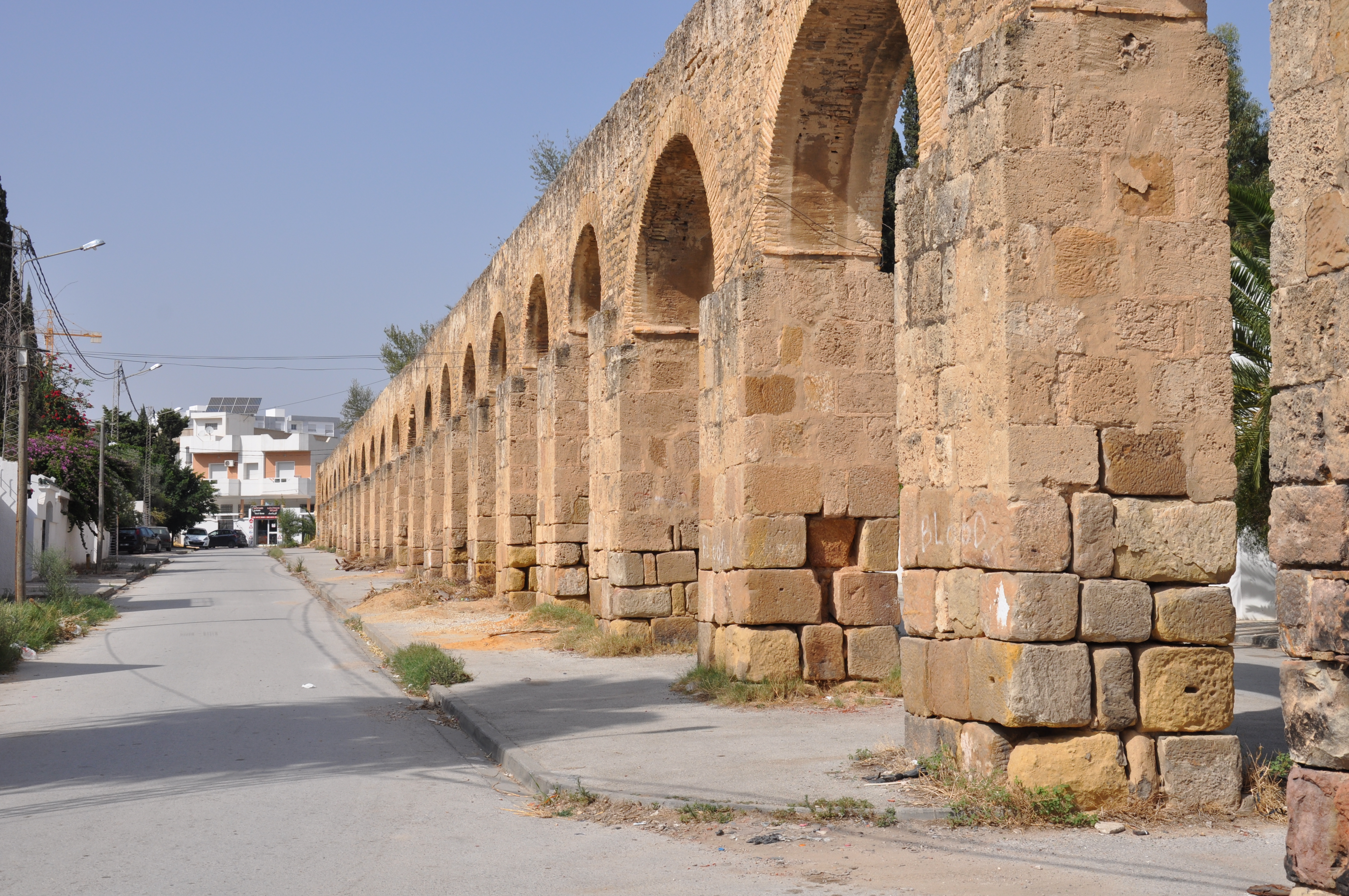 حنايا باردو