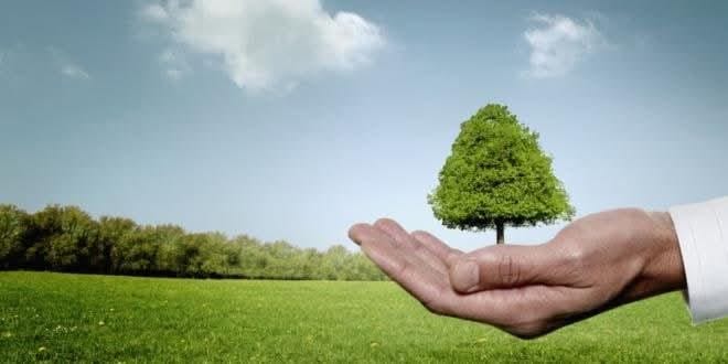 البنك الأوروبي لإعادة الإعمار يُخصص خطوط قرض لتحقيق الانتقال الأخضر للمؤسسات الصغرى والمتوسطة