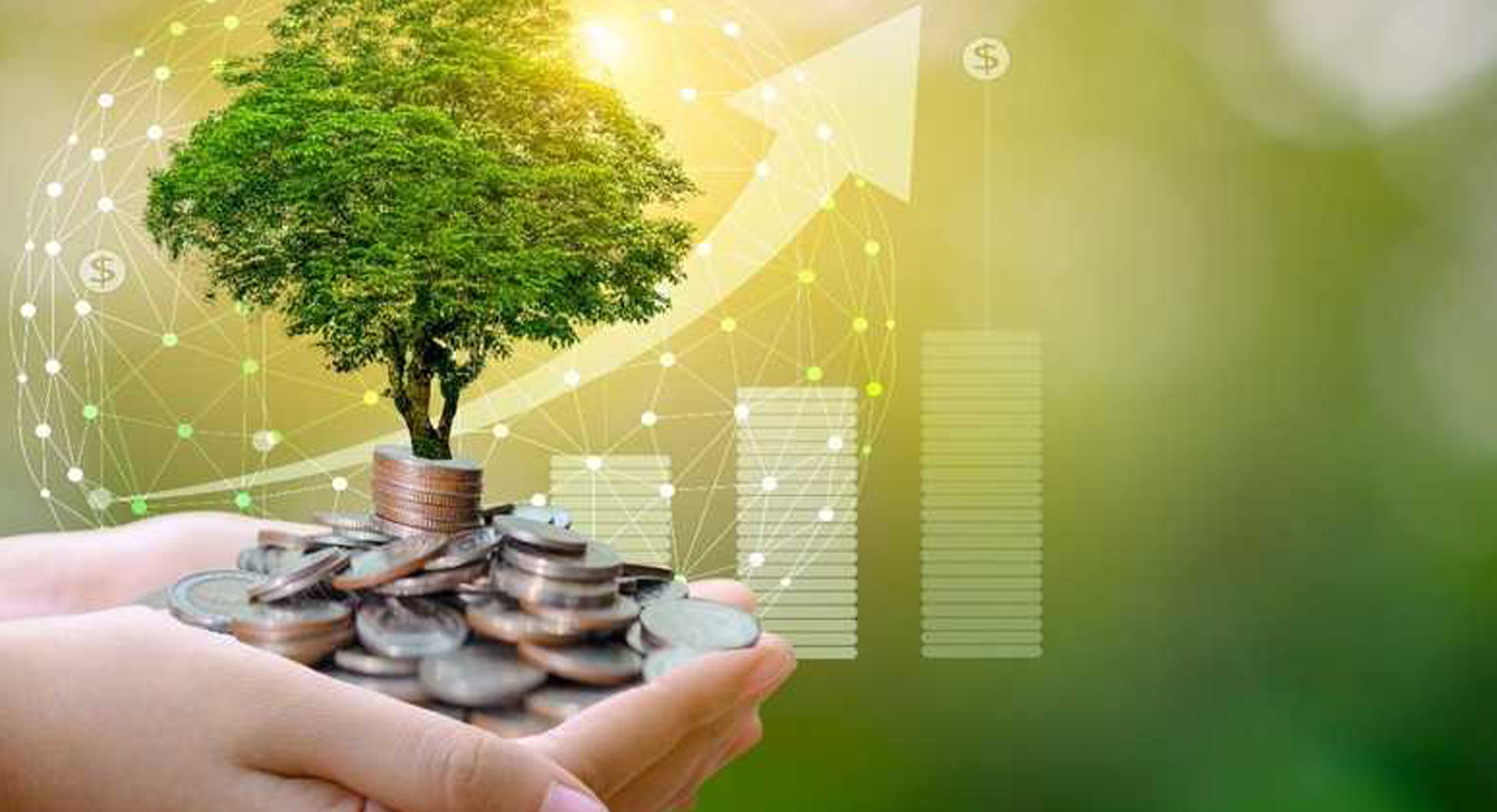 البنك الأوروبي لإعادة الإعمار والتنمية يخصص خطوط قرض لفائدة بنوك تونسية لتحقيق الإنتقال الأخضر للمؤسسات الصغرى والمتوسطة التونسيّة