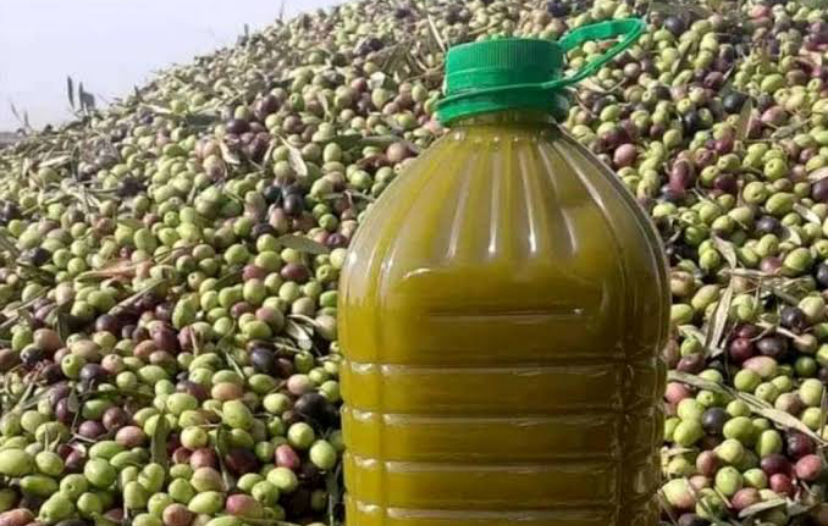 صابة قياسية لزيت الزيتون و دعوات لتثمينها في ظل تراجع الانتاج العالمي 
