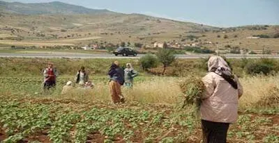 اليوم : الاحتفال باليوم العالمي للمرأة الريفية