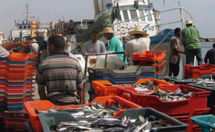 مدنين : قريبا تنظيم منتدى تثمين منتجات الصيد البحري