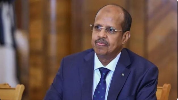 رئيس مفوضية الاتحاد الإفريقي يجدد التأكيد على دعوة إفريقيا إلى تمثيل دائم  في مجلس الأمن الدولي