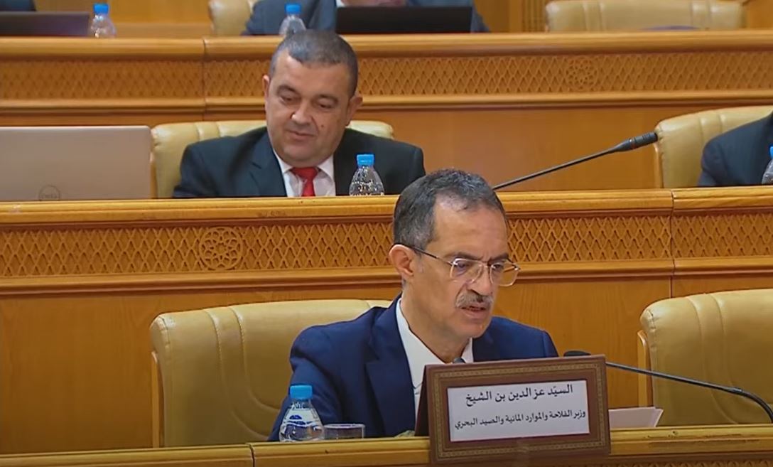 وزير الفلاحة: المراهنة على طاقاتنا البشرية والمالية ملاذنا الوحيد لتحقيق الأمن الغذائي