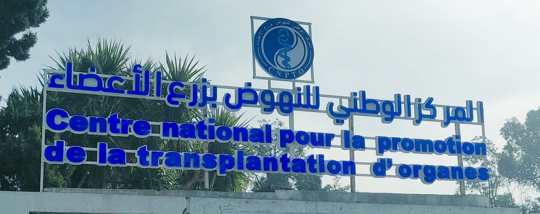 المركز الوطني للنهوض بزرع الأعضاء : إجراء 30 عملية زرع في الأشهر التسعة الأولى من العام