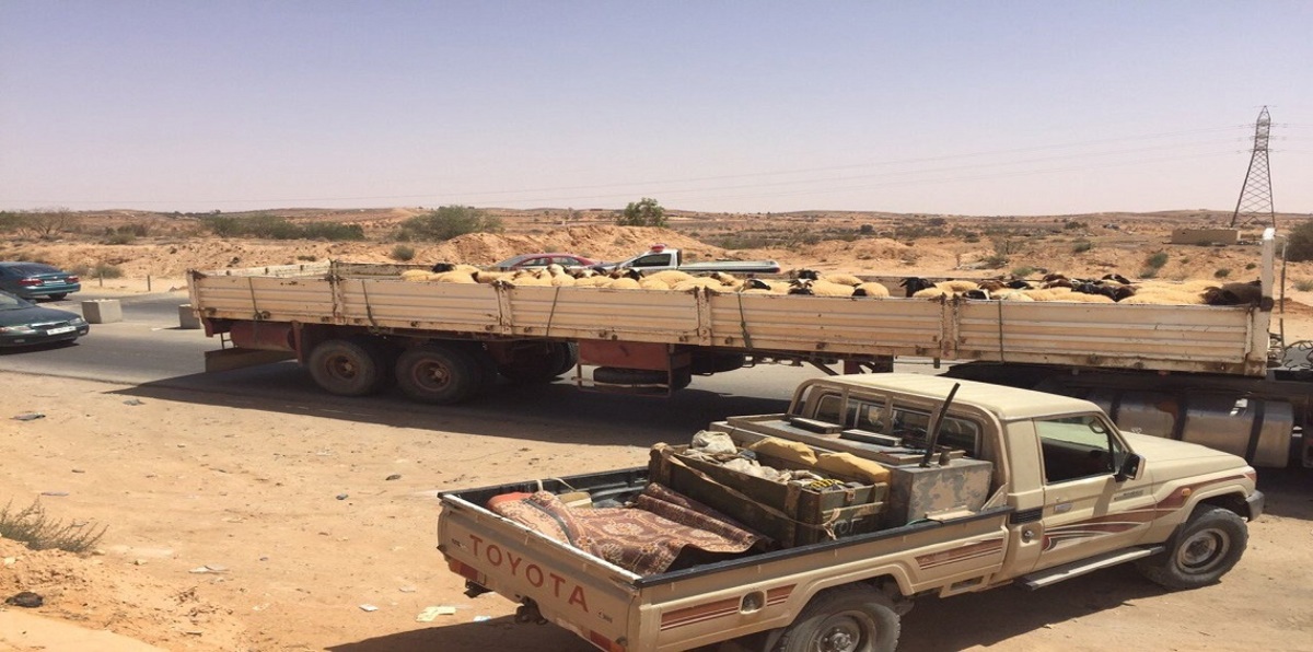 وزارة الفلاحة تواصل التصدي لظاهرة تهريب المواشي