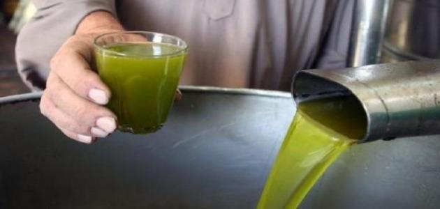 فوزي الحاج فرج: "سيتم اتخاذ الإجراءات القانونية ضد كل خرق لموسم جني الزيتون".