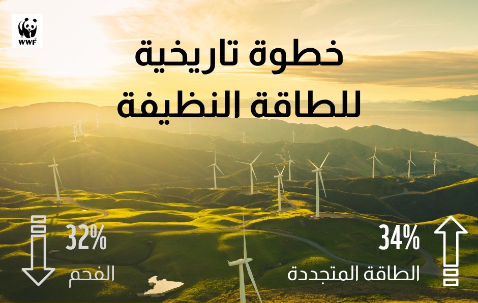 الصندوق العالمي للطبيعة: الطاقة المتجددة تتجاوز الفحم لتصبح المصدر الرئيسي للكهرباء على مستوى العالم