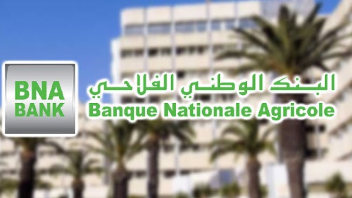البنك الوطني الفلاحي: الناتج البنكي الصافي يزيد بنسبة 8،9 بالمائة موفى سبتمبر 2025