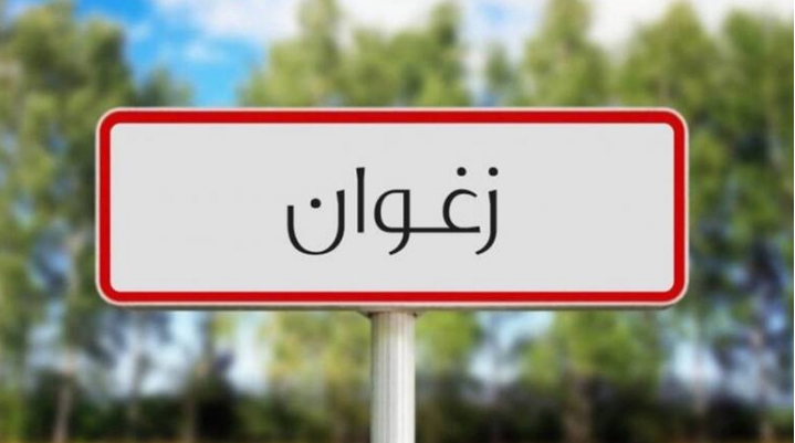 زغوان: قريبا الانطلاق في تنفيذ جملة من المشاريع التنموية.