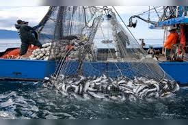 مدنين: منتدى بجرجيس حول تثمين منتجات البحر 