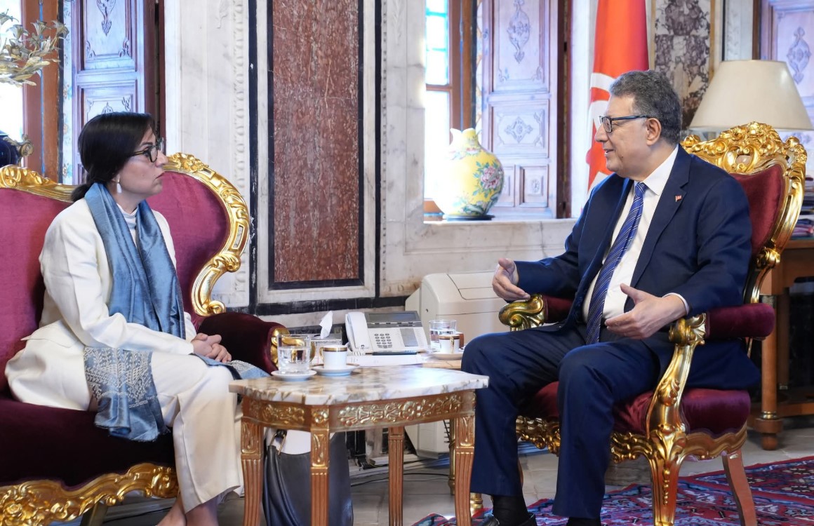 منسقة الأمم المتحدة بتونس تُــؤكد مواصلة دعم تونس ودفع المشاريع المشتركة 