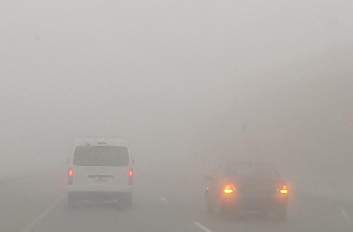 ظهور ضباب محليا كثيف بالشمال والمناطق الشرقية للبلاد الليلة وصباح غد السبت (نشرة متابعة)