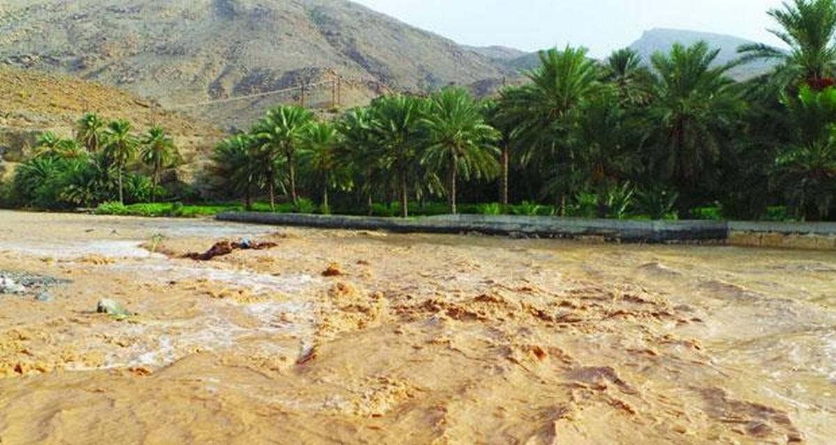 قبلي: اعضاء من لجنة الفلاحة بمجلس نواب الشعب يعاينون عددا من المشاريع الفلاحية