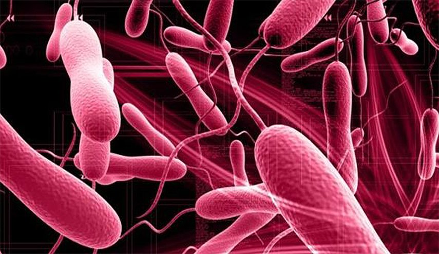 المركز الإفريقي لمكافحة الأمراض: تفشي الكوليرا يتسبب في أكثر من 6700 وفاة في إفريقيا منذ مطلع 2025 