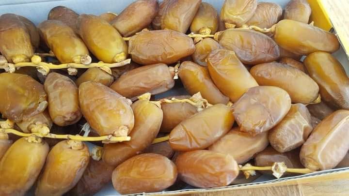 قبلي: الاتفاق على  إحداث نقاط بيع للتمور من المنتج إلى المستهلك بمختلف جهات البلاد بهدف الترويج لمنتوج الموسم الحالي باسعار مناسبة