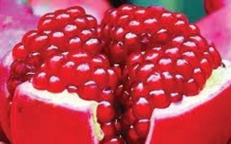 اليوم... انطلاق الدورة التاسعة لمهرجان الرمان بتستور وسط توقع صابة طيبة للرمان بالمنطقة