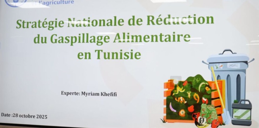 Commerce: La Tunisie élabore une stratégie nationale pour réduire le gaspillage alimentaire