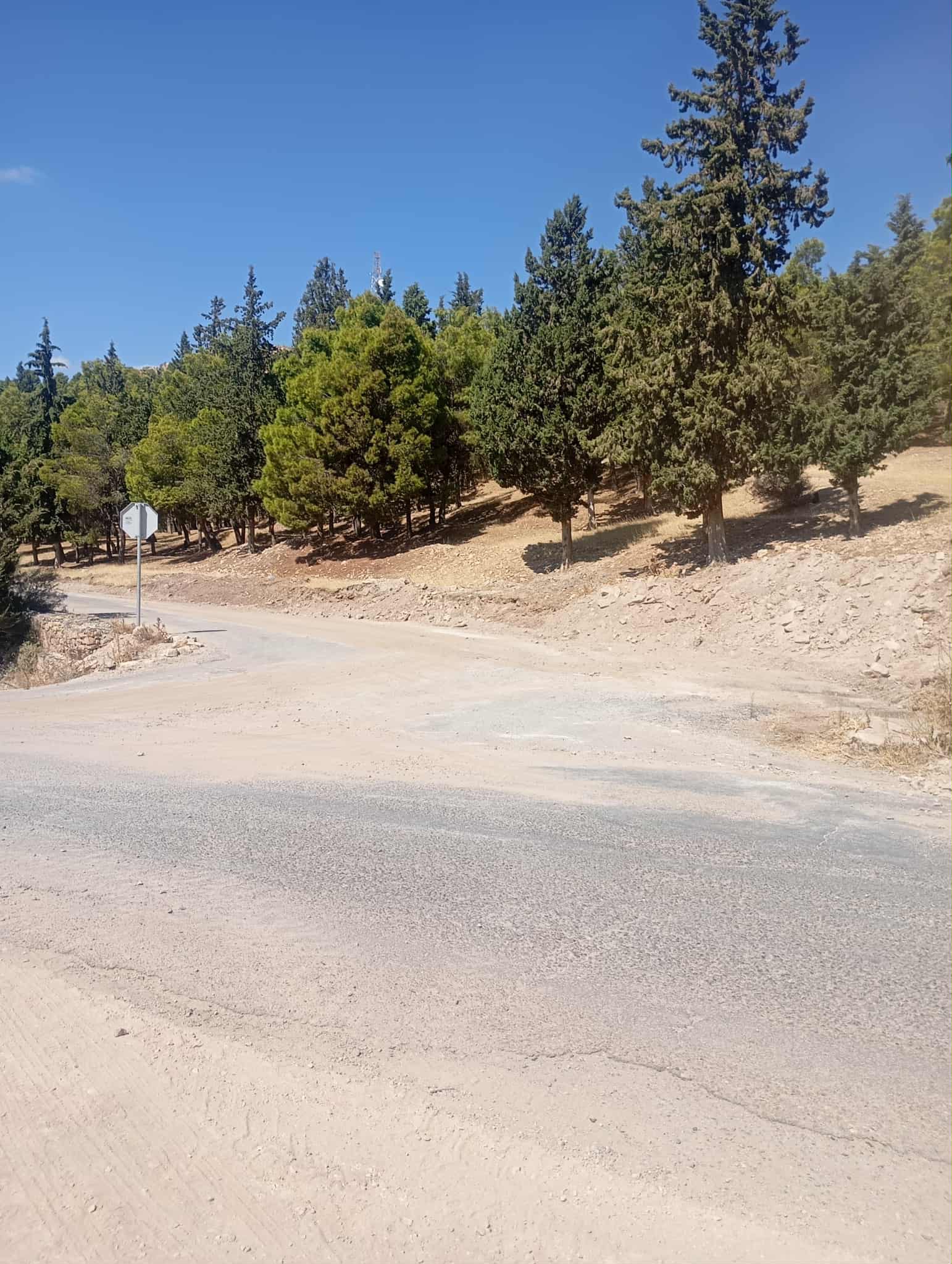 تخصيص حافلة لنقل تلاميذ منطقتي فج الخروبة وسيدي منصوربالكاف نحو مدارسهم بداية من الاسبوع المقبل