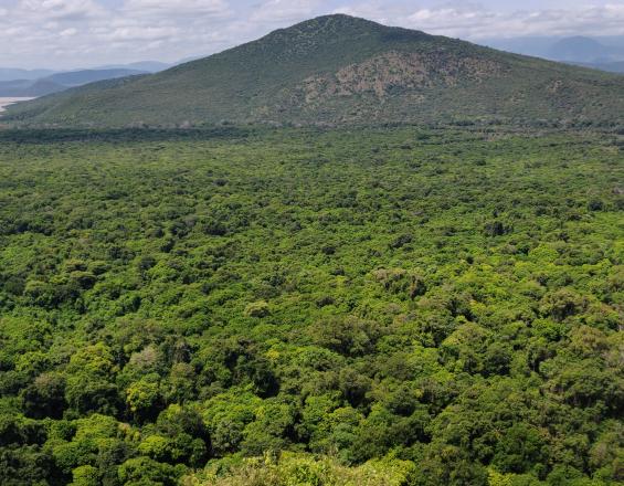 تطبيقة SMART للرصدو التبليغ وحماية الغابات : رقمنة جمع المعلومات لرصد التجاوزات في المحميات