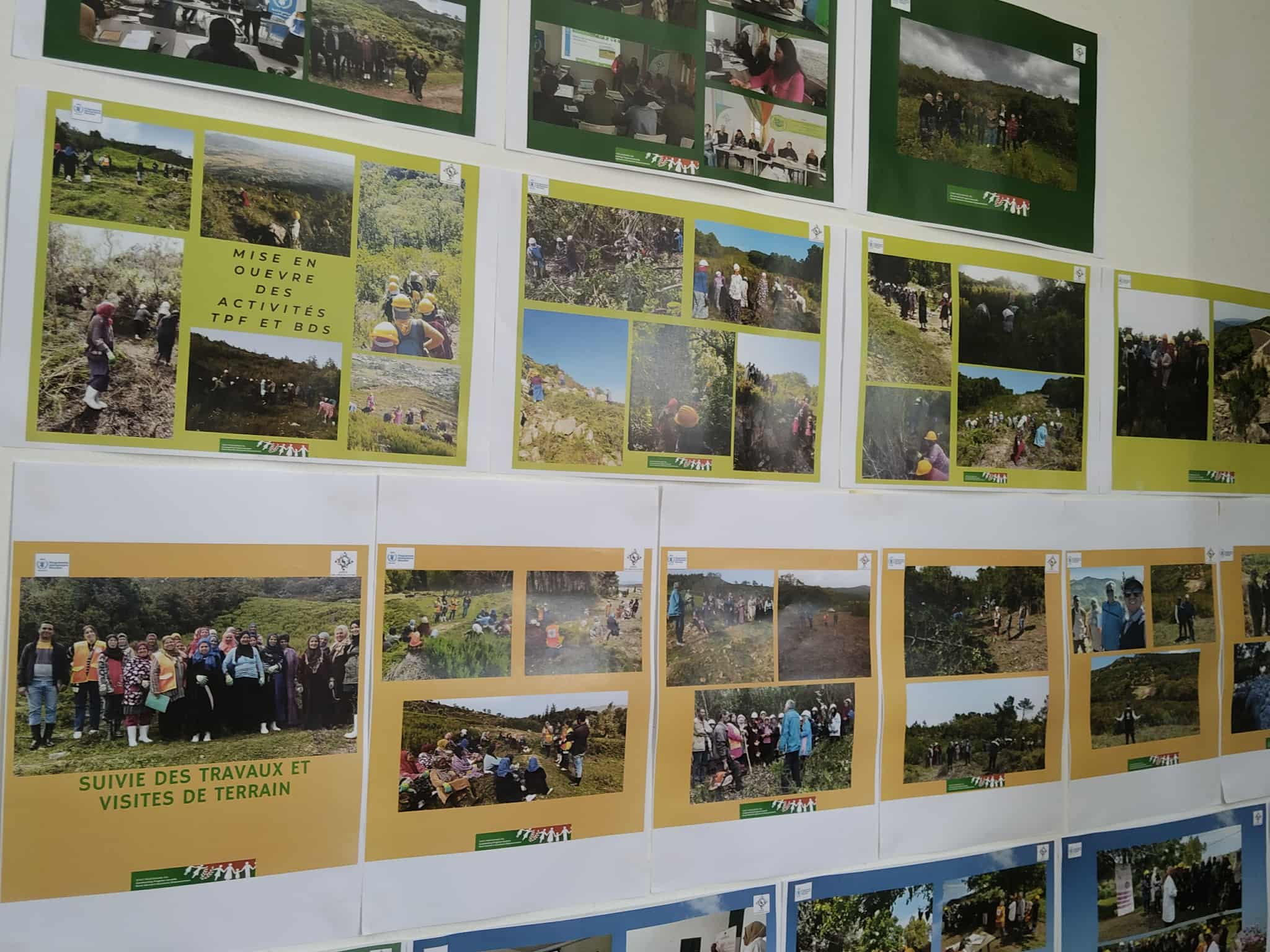 طبرقة: اختتام مشروع حماية النظام البيئى الغابي وتمكين المرأة في الوسط الريفي