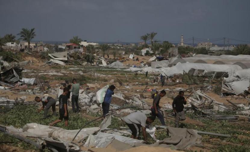 الأمم المتحدة تؤكد تضرر 87 بالمائة من الأراضي الزراعية في غزة بسبب العدوان الصهيوني