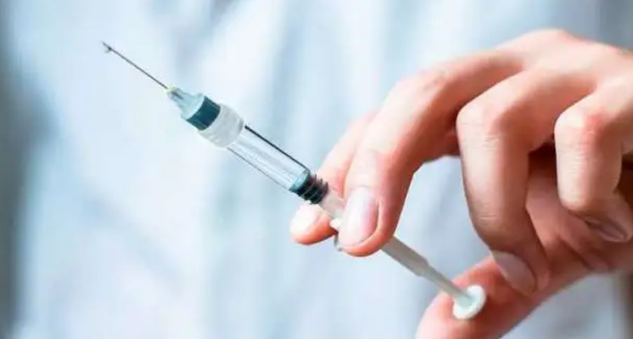 القصرين: إنجاز أكثر من 17 ألف عملية تلقيح للكلاب والقطط في إطار الحملة الوطنية لمقاومة داء الكلب