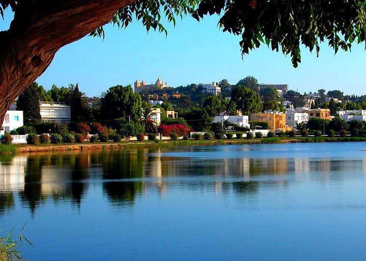 طقس مغيم جزئيا بالمناطق الساحلية الشرقية و سحب عابرة ببقية الجهات.