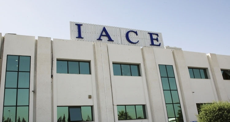 المعهد العربي لرؤساء المؤسسات: التقليص من نسبة الفائدة المديرية قد يشجع على مزيد اللجوء إلى التداين