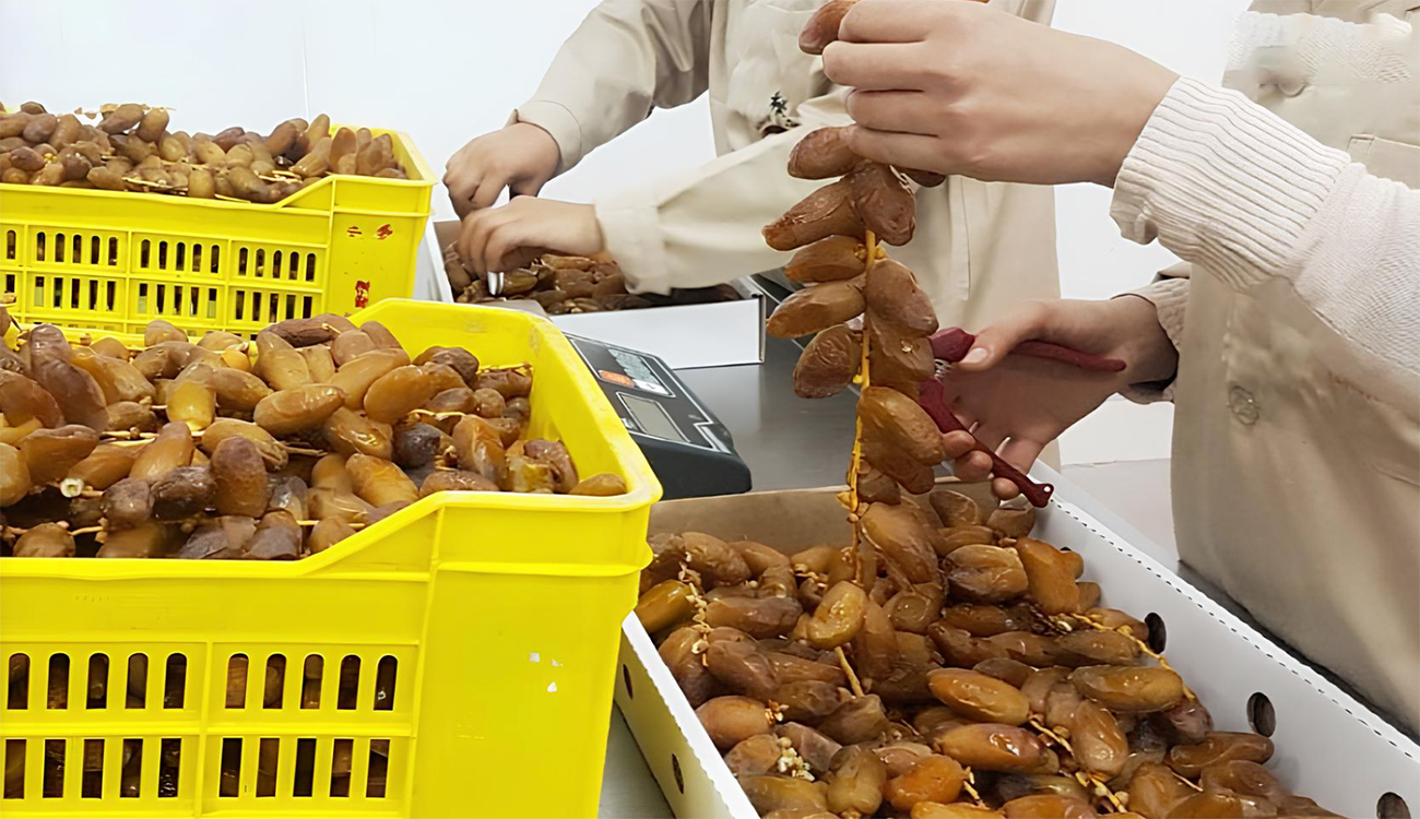 قبلي: أهالي جمنة يبحثون سبل إعادة اعتماد تسعيرة قبول دقلة النور من المجمع المهني المشترك 