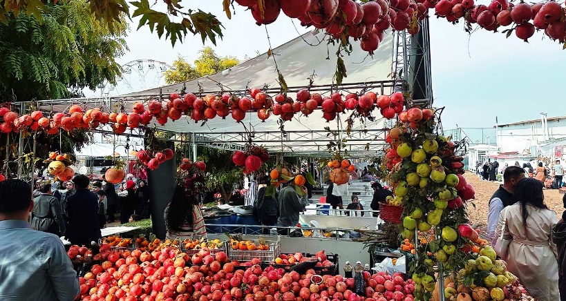 باجة: الدورة التاسعة لمهرجان الرمان بتستور تستقبل اكثر من 300 الف زائر