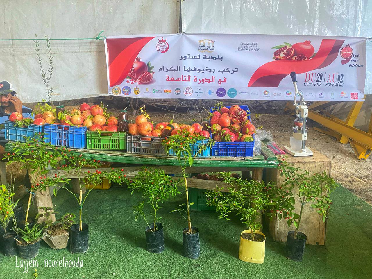 باجة: الدورة التاسعة لمهرجان الرمان بتستور تستقبل أكثر من 300 ألف زائر