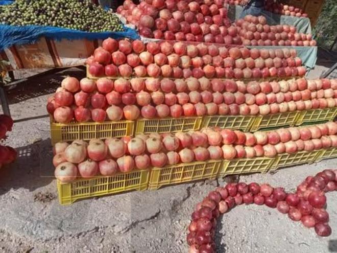 باجة: الدورة التاسعة لمهرجان الرمان بتستور تستقبل أكثر من 300 ألف زائر