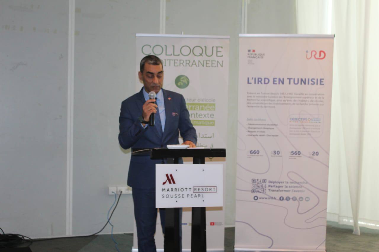 سوسة: انطلاق فعاليات مؤتمر المتوسط حول إستدامة قطاع الزيتون في ظل التغييرات المناخية