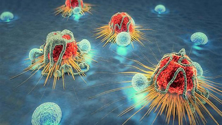 تونس تستضيف المؤتمر الدولي للجمعية الإفريقية لبحوث وعلاج السرطان