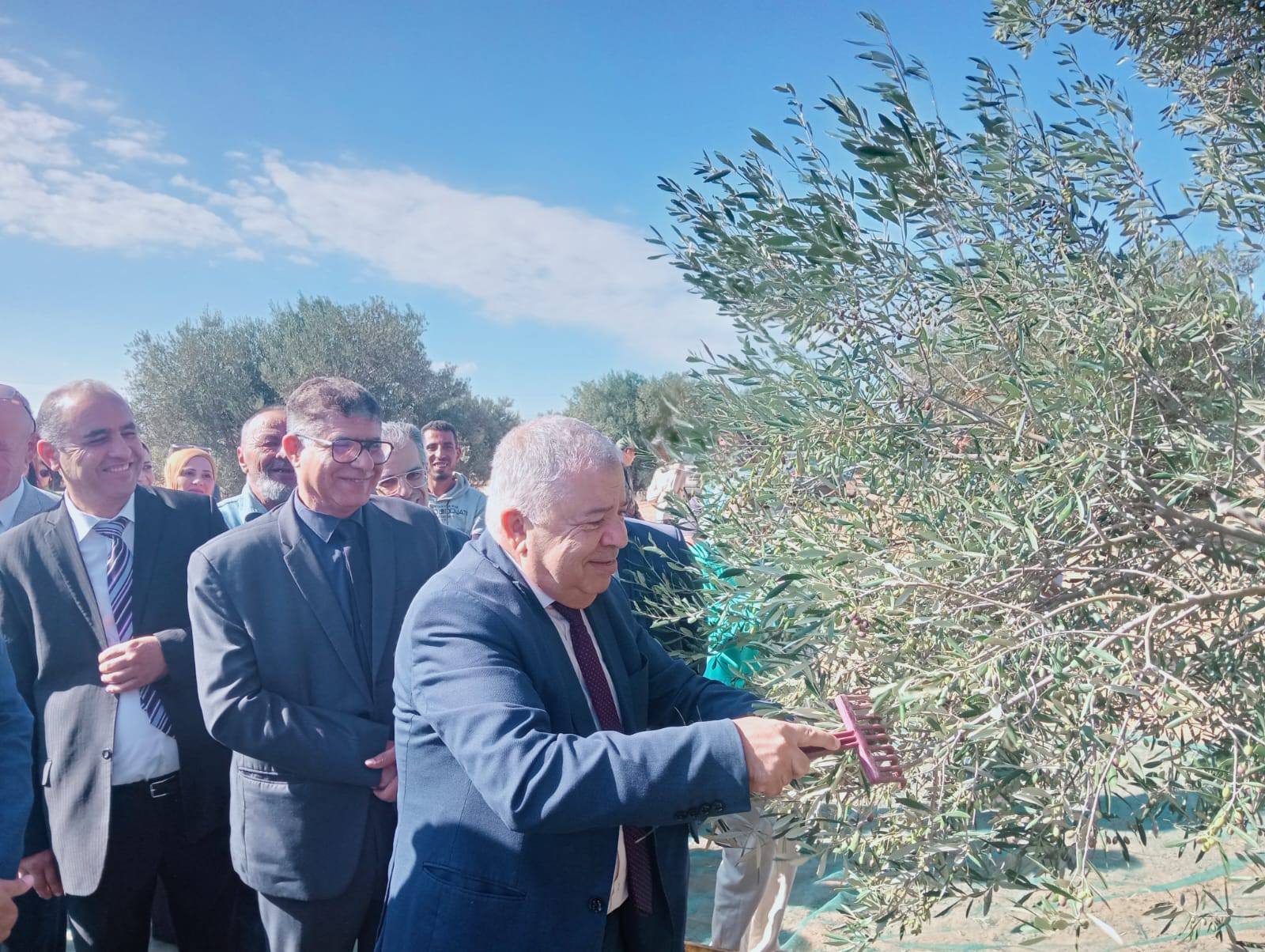 افتتاح موسم جني الزيتون بولاية سوسة.