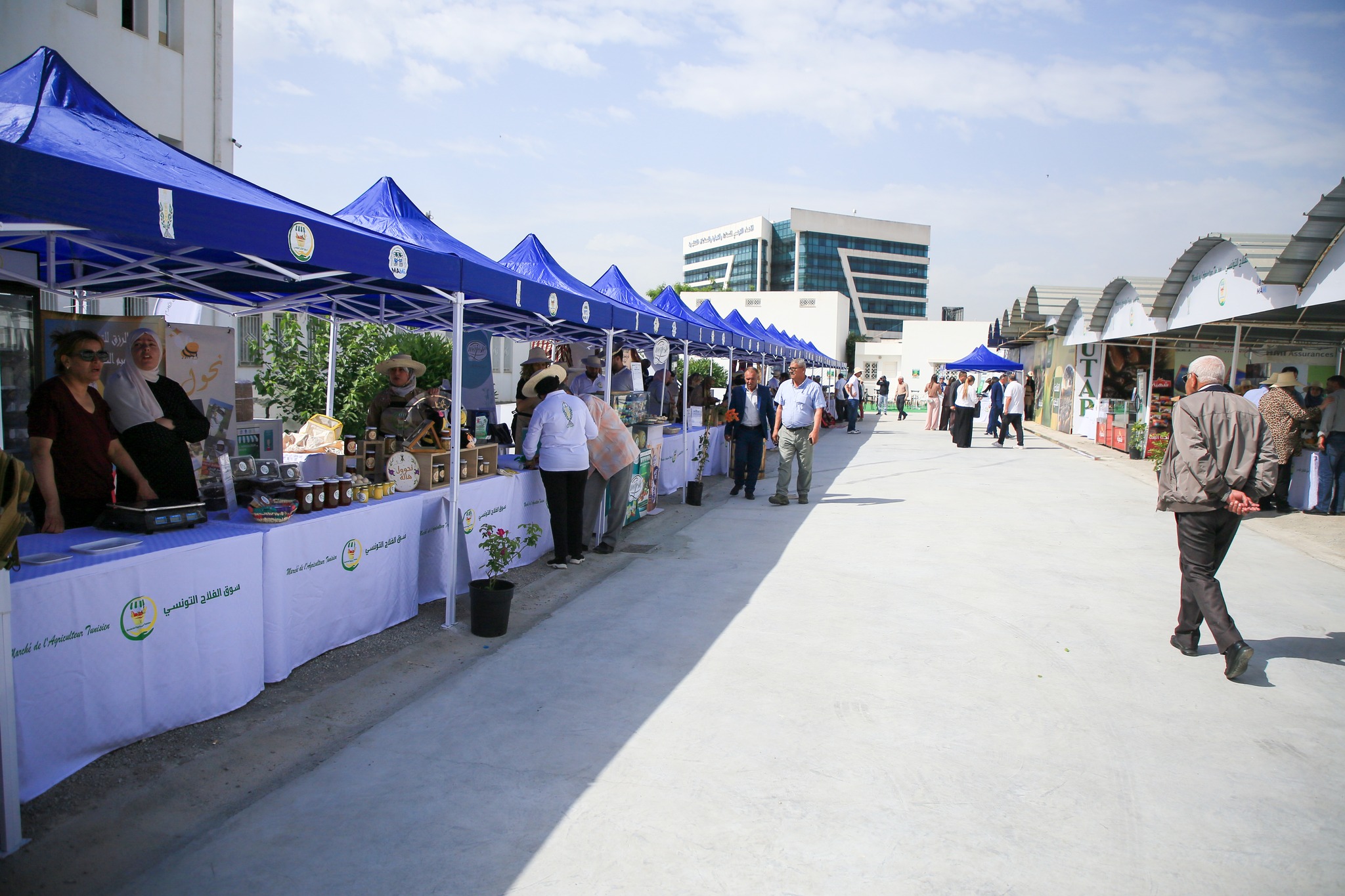 الاتحاد التونسي للفلاحة والصيد البحري يُنظم سوقًا من المنتج إلى المستهلك" الخميس 6 نوفمبر بحلق الوادي