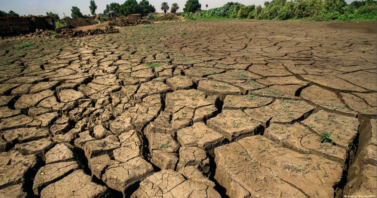 وزارة الفلاحة تؤكد أهمية تعزيز التعاون المغاربي وتبادل الخبرات للتأقلم مع الجفاف والتغيّرات المناخية