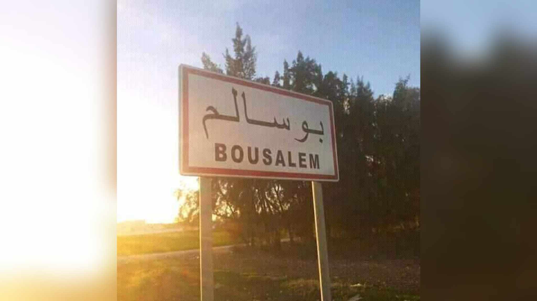 يوم اعلامي ببوسالم حول أهمية البذور الممتازة والتعريف بالأصناف الجديدة