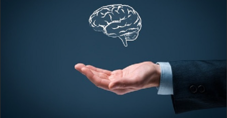 Propriété intellectuelle : une journée d’information pour renforcer la compétitivité des entreprises tunisiennes