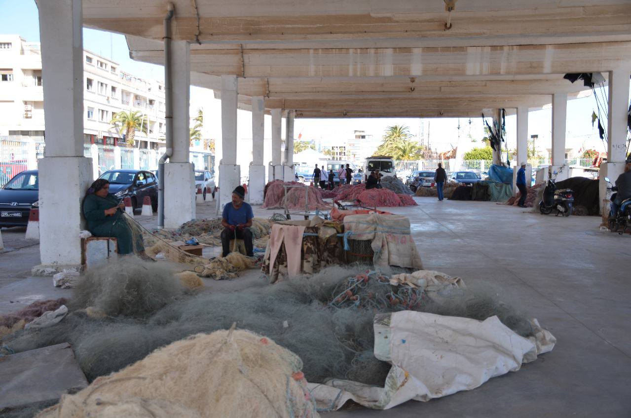 والي سوسة :زيارة ميدانية غير معلنة لميناء الصيد البحري بسوسة وسوق الجملة للأسماك