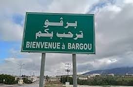 سليانة : المجلس المحلي ببرقو يؤكد العمل على تجاوز الصعوبات المتعلقة بانجاز عدد من المشاريع لدعم الموارد المائية