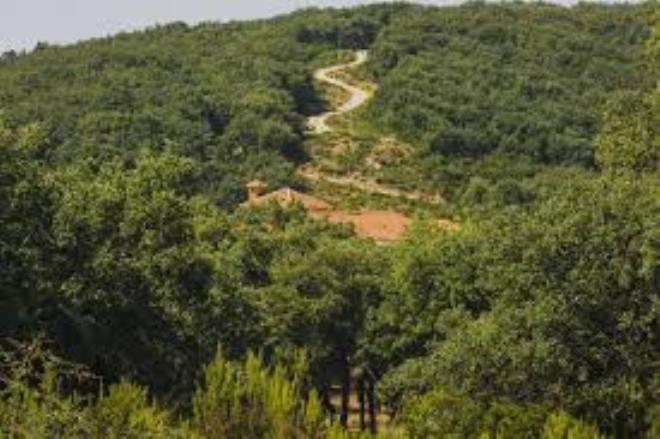 وزارة الفلاحة تنظم معرضا لتثمين المنتوجات الفلاحية الغابية بمدينة العلوم من 12 إلى 14 نوفمبر 2025