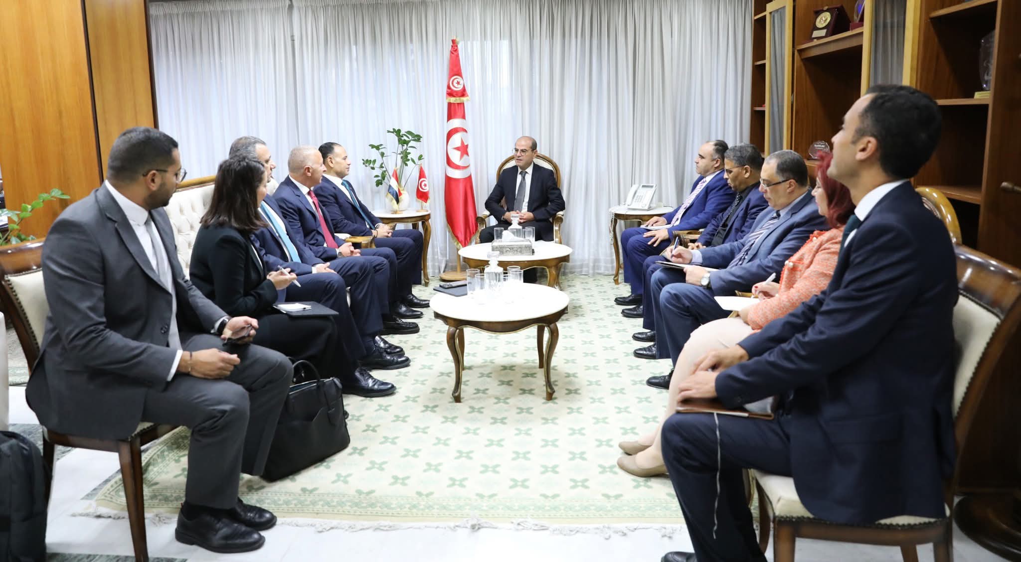 لقاء وزير التجهيز والإسكان بالرئيس التنفيذي لمجموعة السويدي الكتريك المصرية.