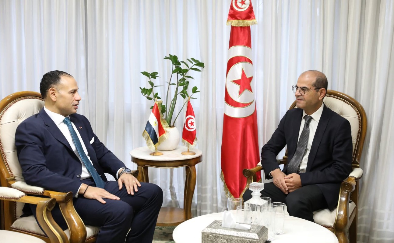 لقاء وزير التجهيز والإسكان بالرئيس التنفيذي لمجموعة السويدي إليكتريك المصرية