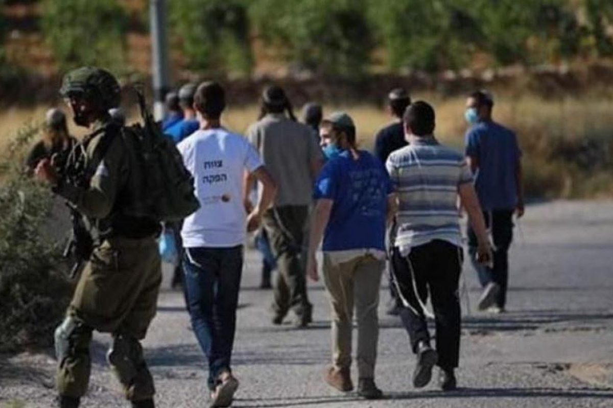 الأمم المتحدة: اعتداءات المستوطنين الشهر الماضي تسجل أعلى حصيلة شهرية منذ عقدين