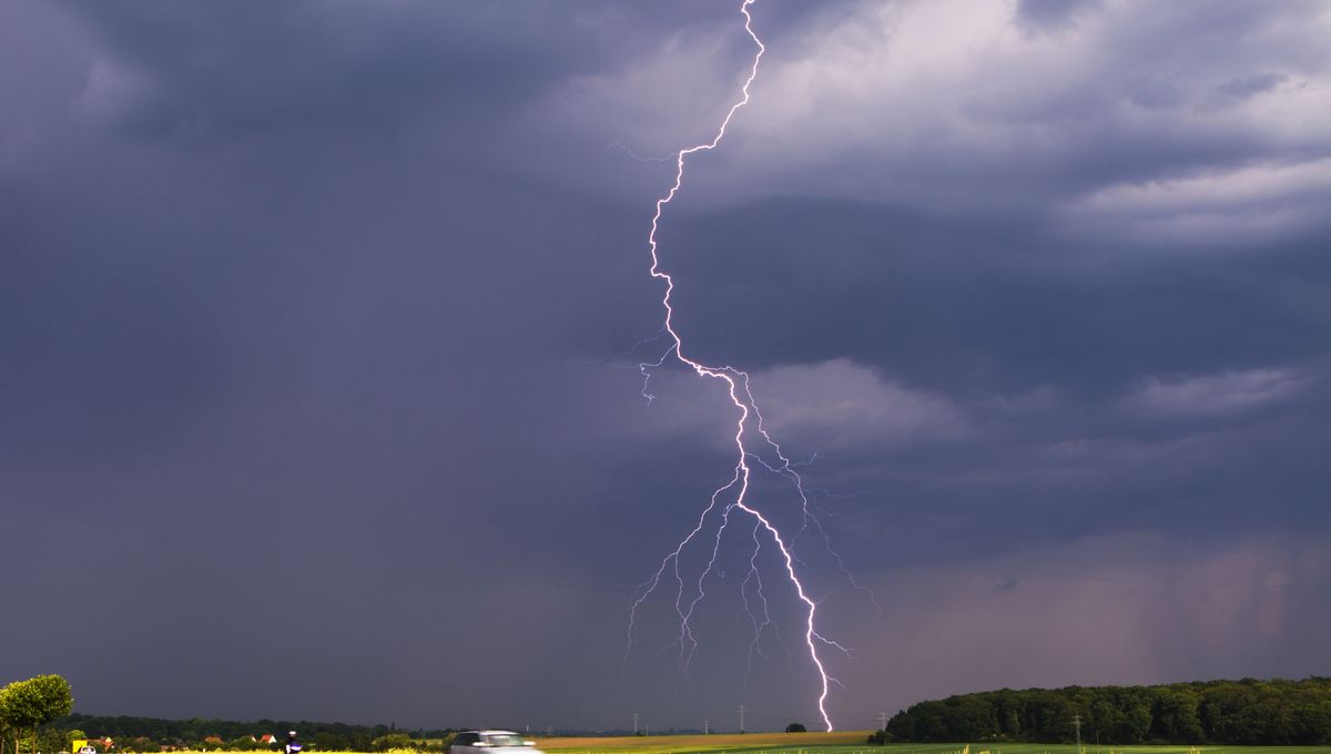 نشرة متابعة: أمطار رعدية ومحليا غزيرة مع رياح قوية آخر اليوم السبت