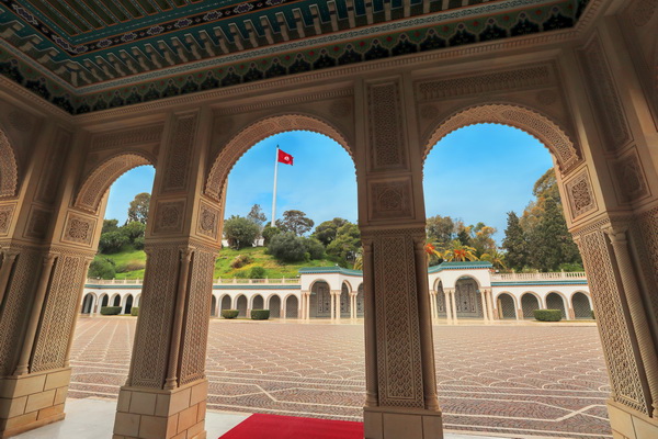 ميزانية المهمة الخاصة برئاسة الجمهورية تقدر بـ705ر229 مليون دينار ضمن ميزانية الدولة لسنة 2026