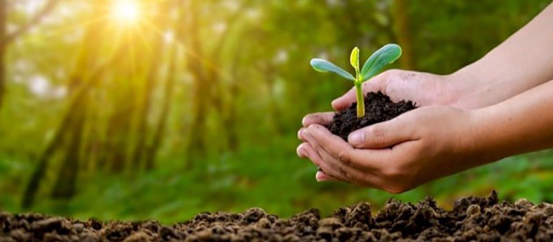 غدا الاحد: انطلاق الحملة الوطنية شهر التشجير بمنتزه النحلي